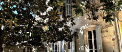 vente Maison de caractère Villeneuve Les Avignon