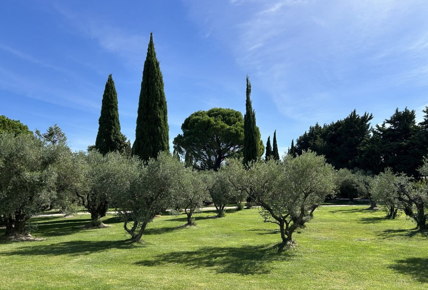 vente Maison contemporaine Rognonas - Photo 4