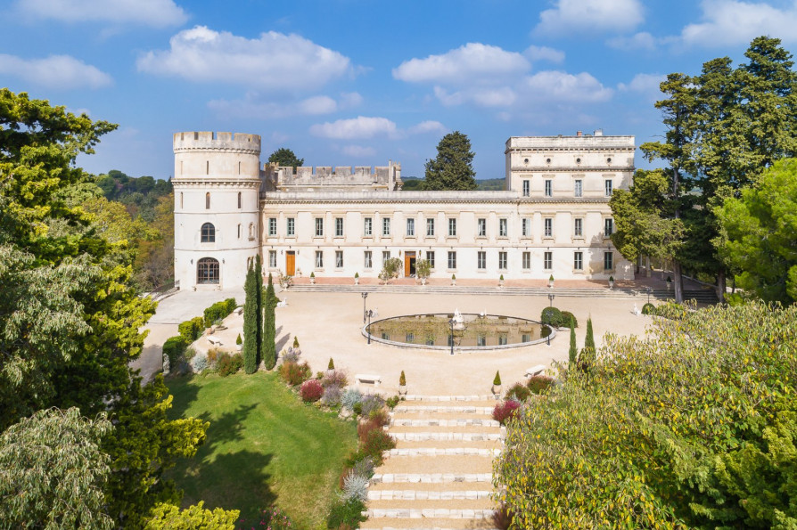 vente Château Raphele Les Arles - Photo 1