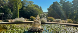vente Château Maussane Les Alpilles