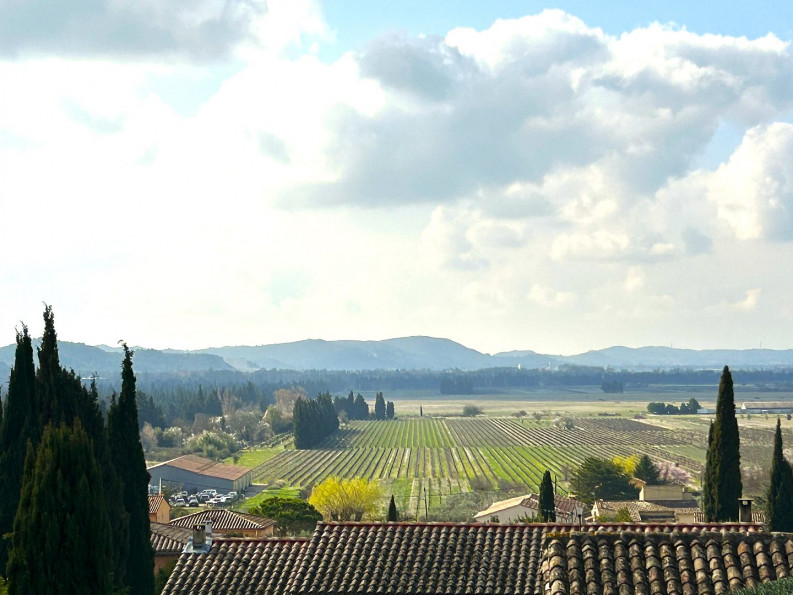 vente Maison de village Avignon - Photo 9