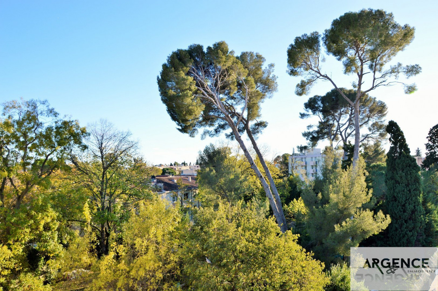 vente Appartement Montpellier - Photo 5