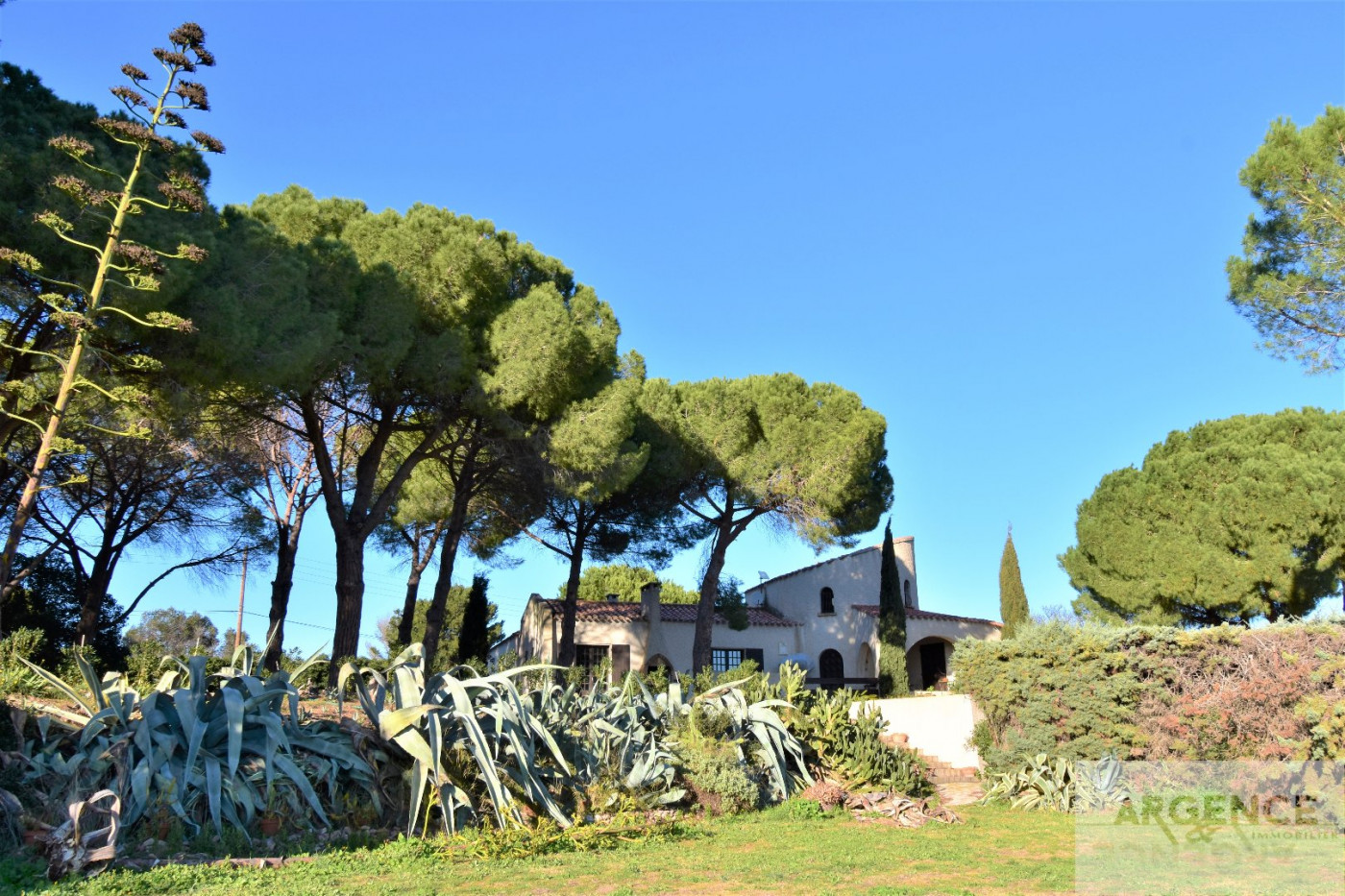 sale Propriété Bouzigues - Photo 10