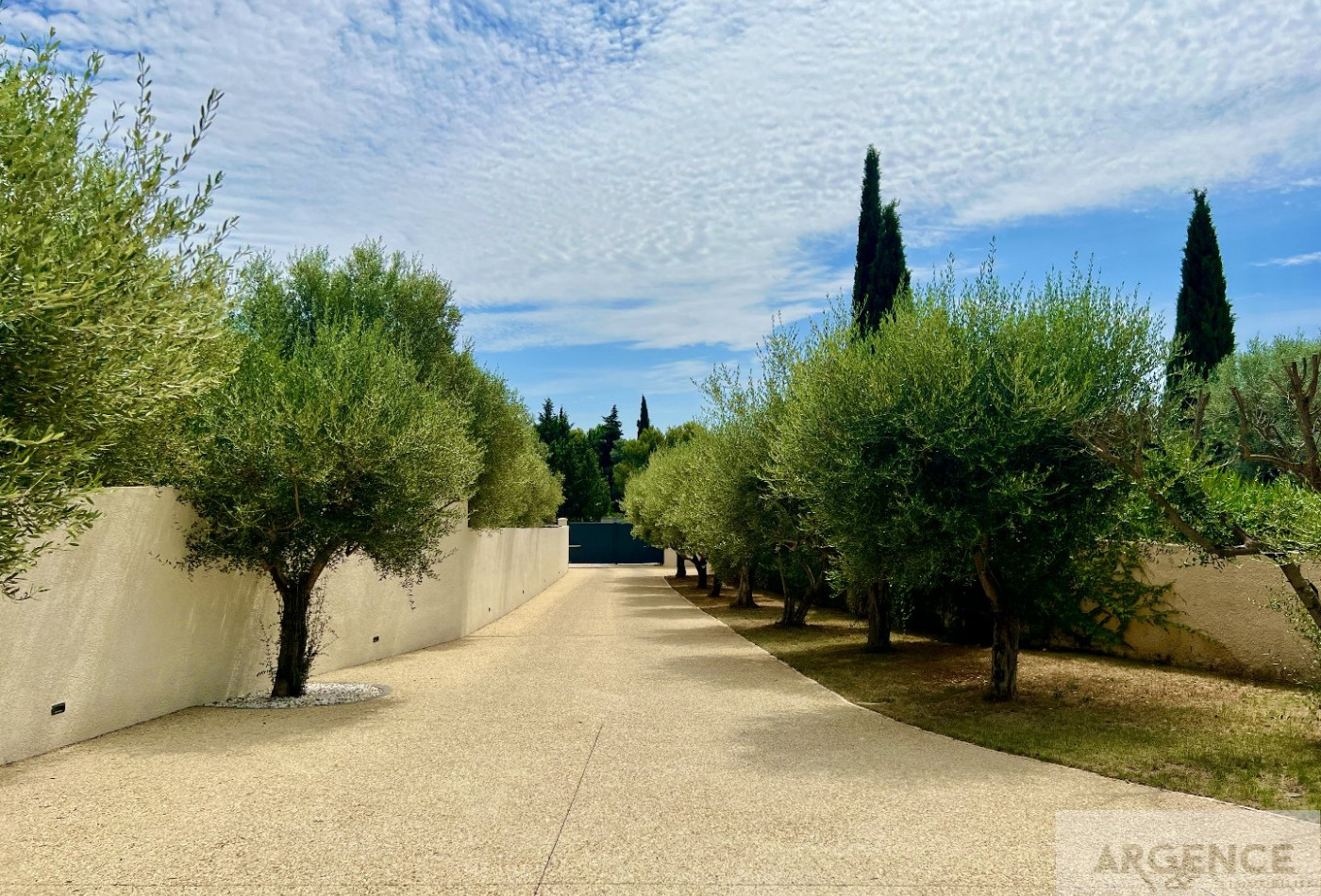 vente Villa d'architecte Saint Georges D'orques - Photo 3
