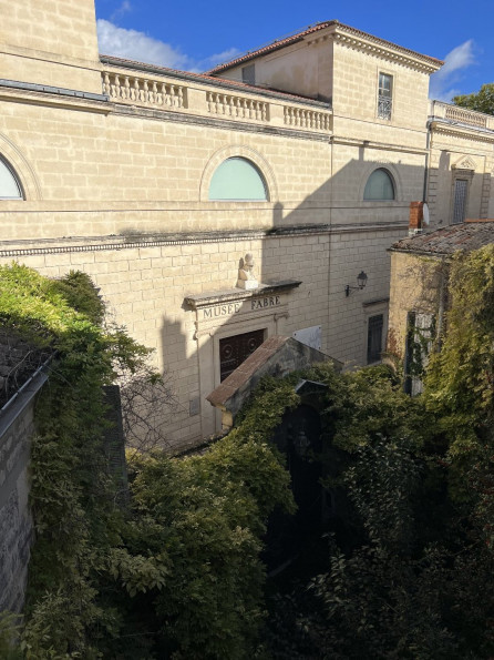 vente Duplex Montpellier - Photo 4