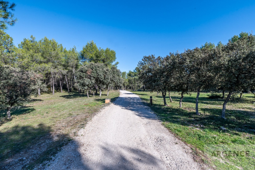 vente Domaine Assas - Photo 6