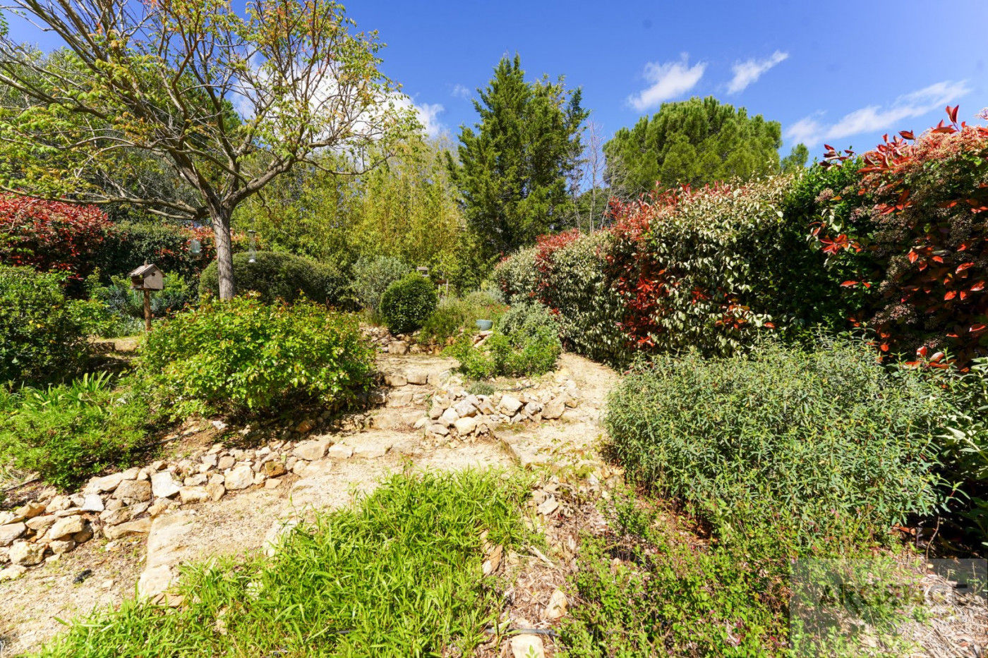 sale Villa Juvignac - Photo 3