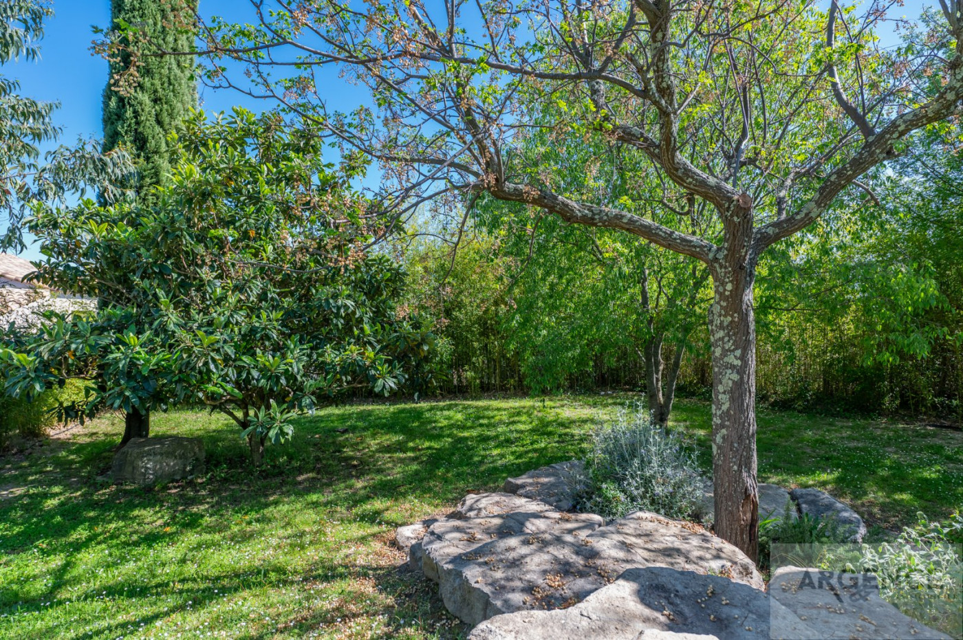 sale Villa d'architecte Saint Mathieu De Treviers - Photo 11