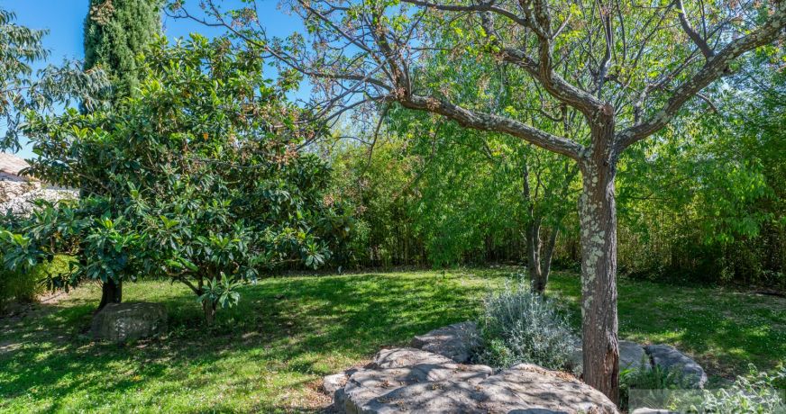 vente Villa d'architecte Saint Mathieu De Treviers