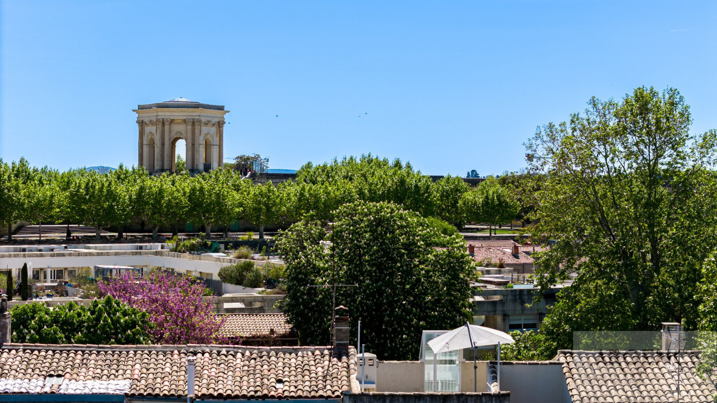 sale Hôtel particulier Montpellier - Photo 26
