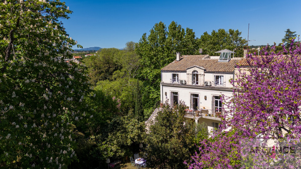 vente Hôtel particulier Montpellier - Photo 2