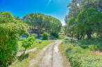 sale Maison de campagne Montpellier