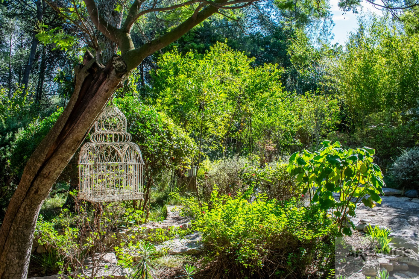 sale Maison Guzargues - Photo 4