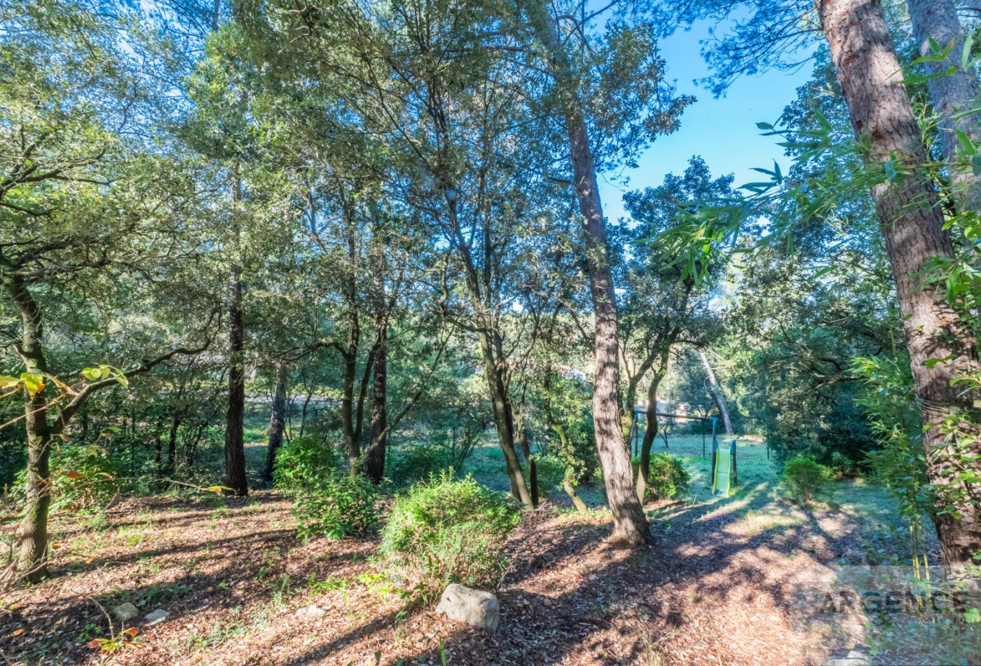 vente Maison Saint Clement De Riviere - Photo 10