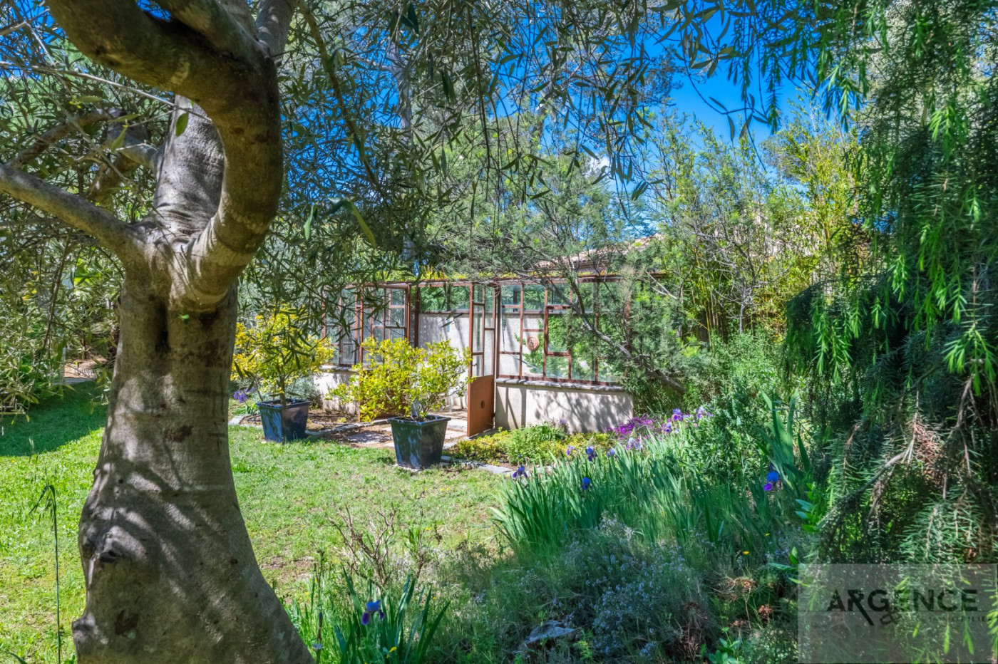 sale Villa Montferrier Sur Lez - Photo 4