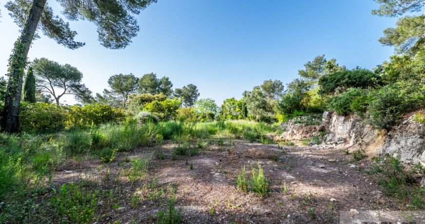 vente Terrain Clapiers