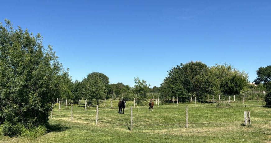 vente Mas Montpellier