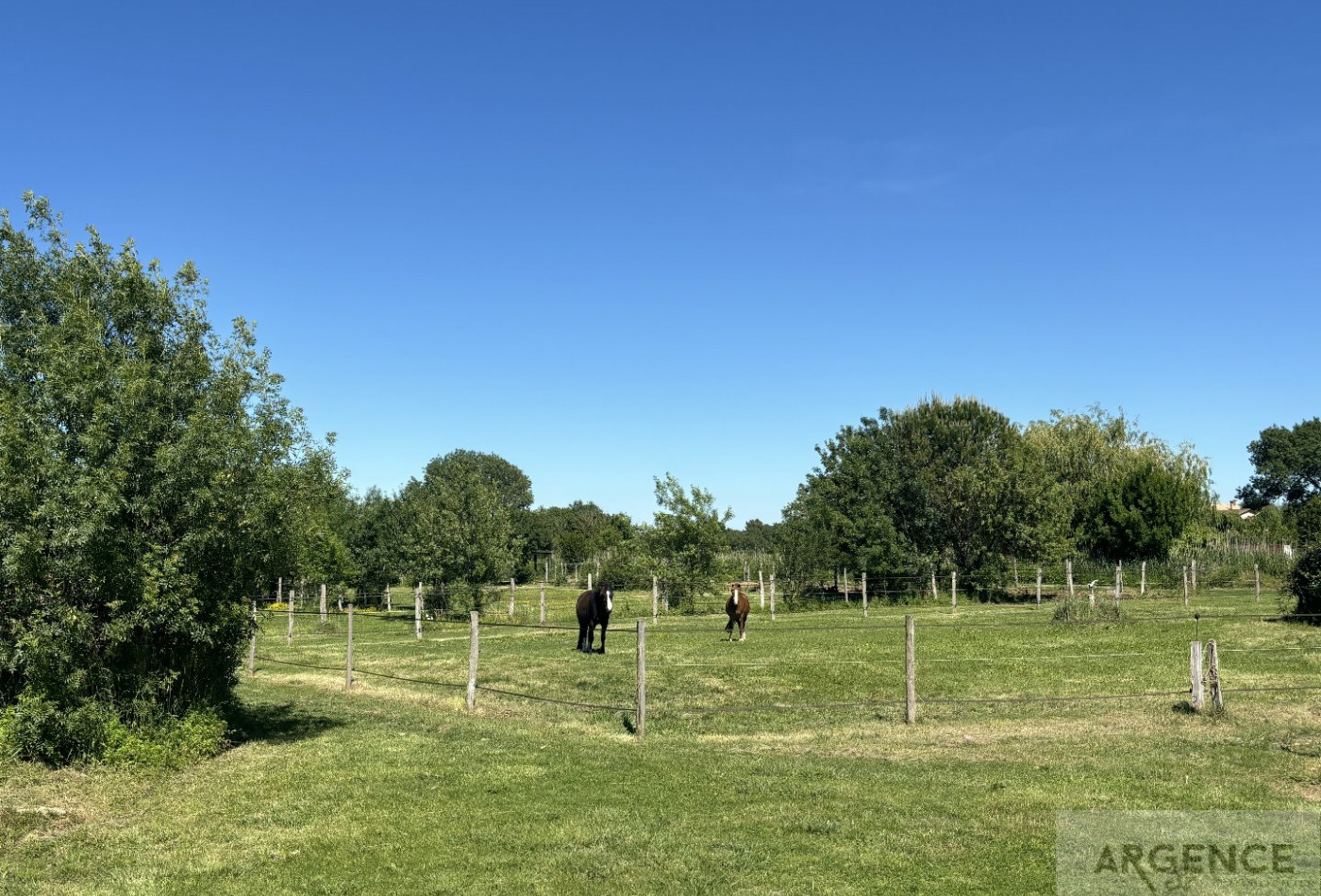 vente Mas Montpellier - Photo 8