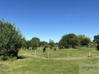 sale Mas Montpellier
