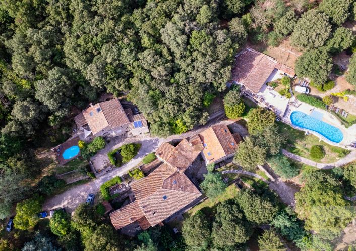 vente Château Montpellier