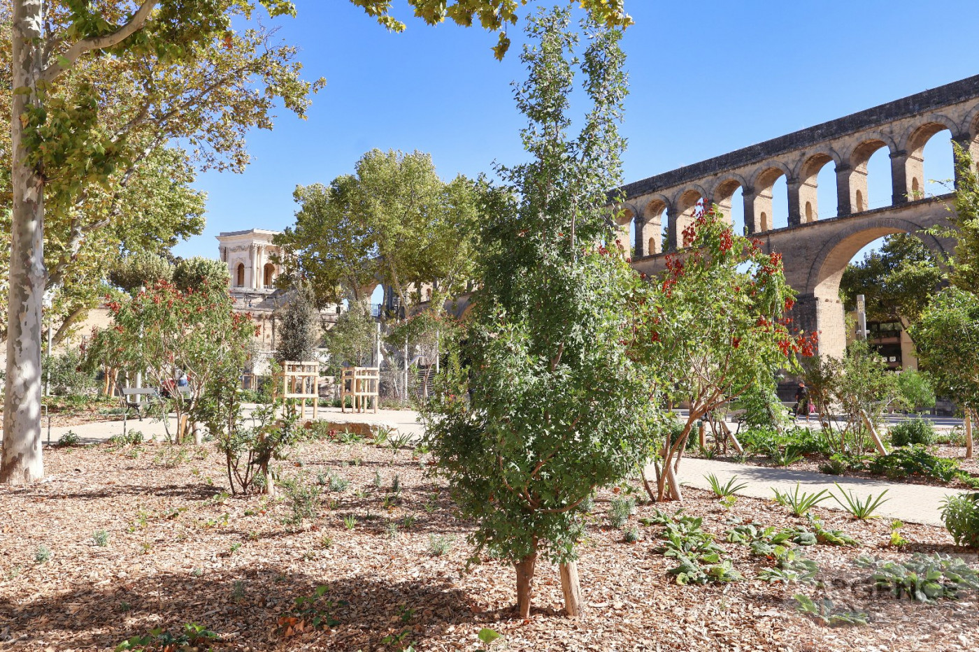 sale Maison Montpellier - Photo 1