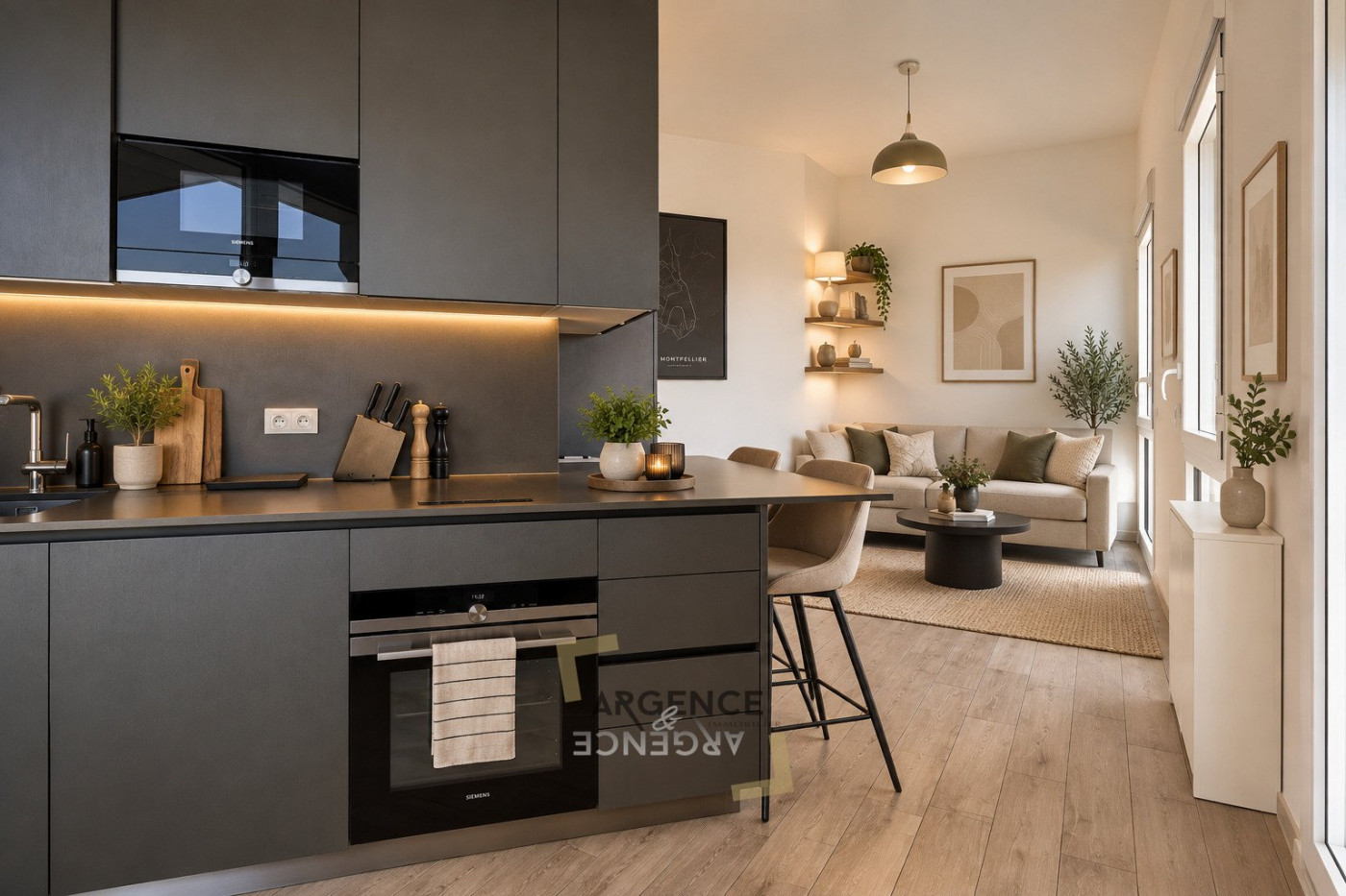 vente Duplex Montpellier - Photo 3