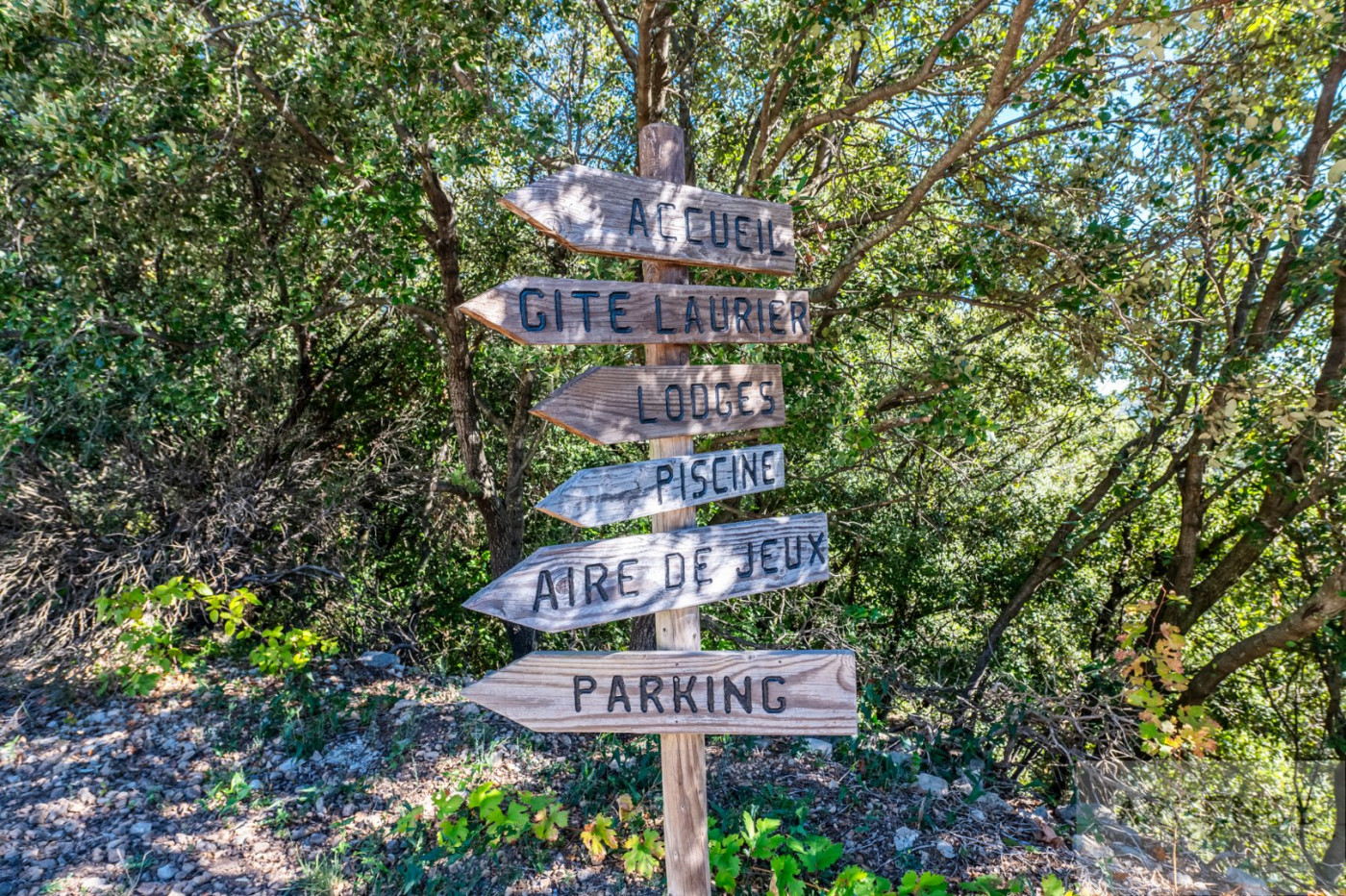 sale Propriété Montpellier - Photo 14