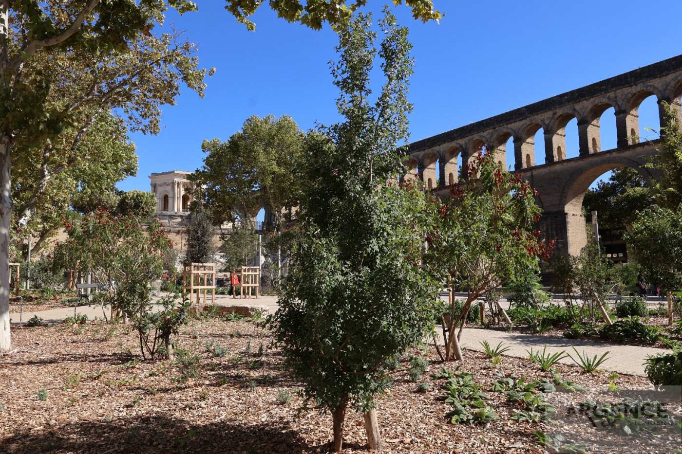 sale Maison Montpellier - Photo 1