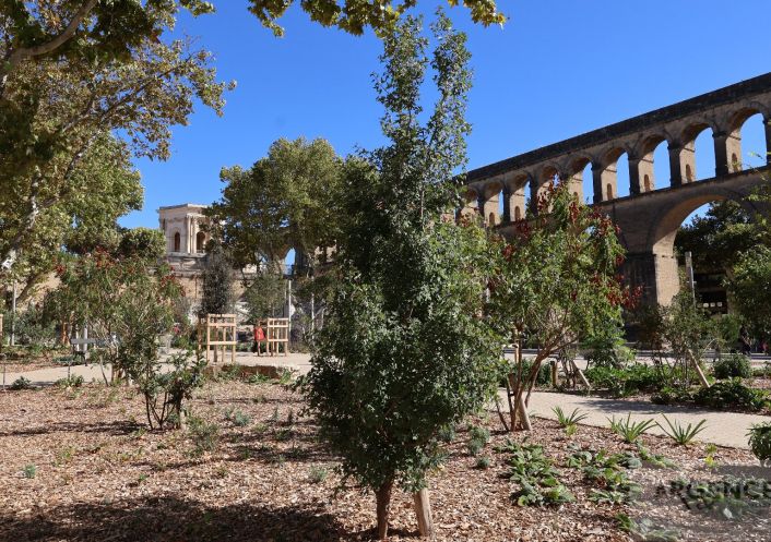 sale Maison Montpellier