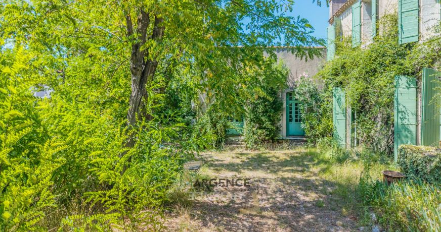 vente Mas Castelnau Le Lez