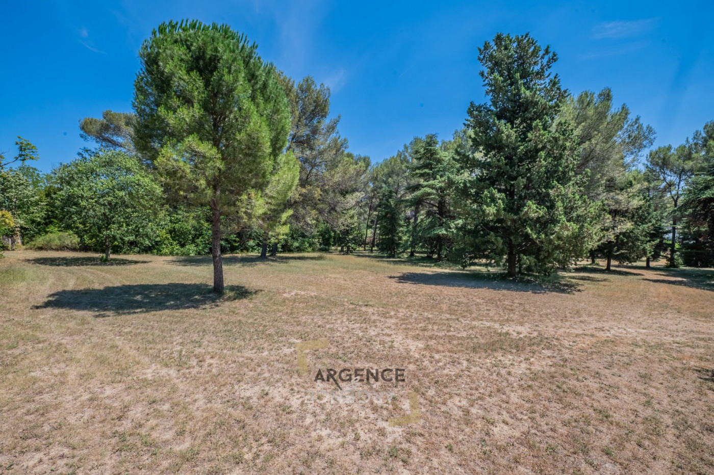 vente Mas Castelnau Le Lez - Photo 12
