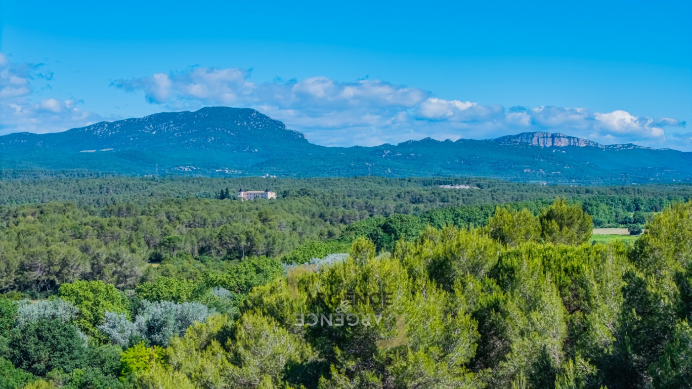 sale Maison Montpellier - Photo 12