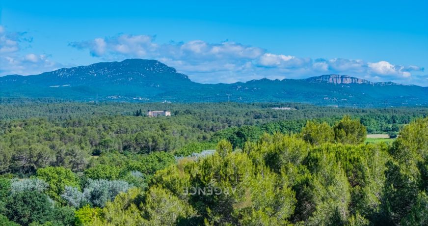 vente Maison Montpellier