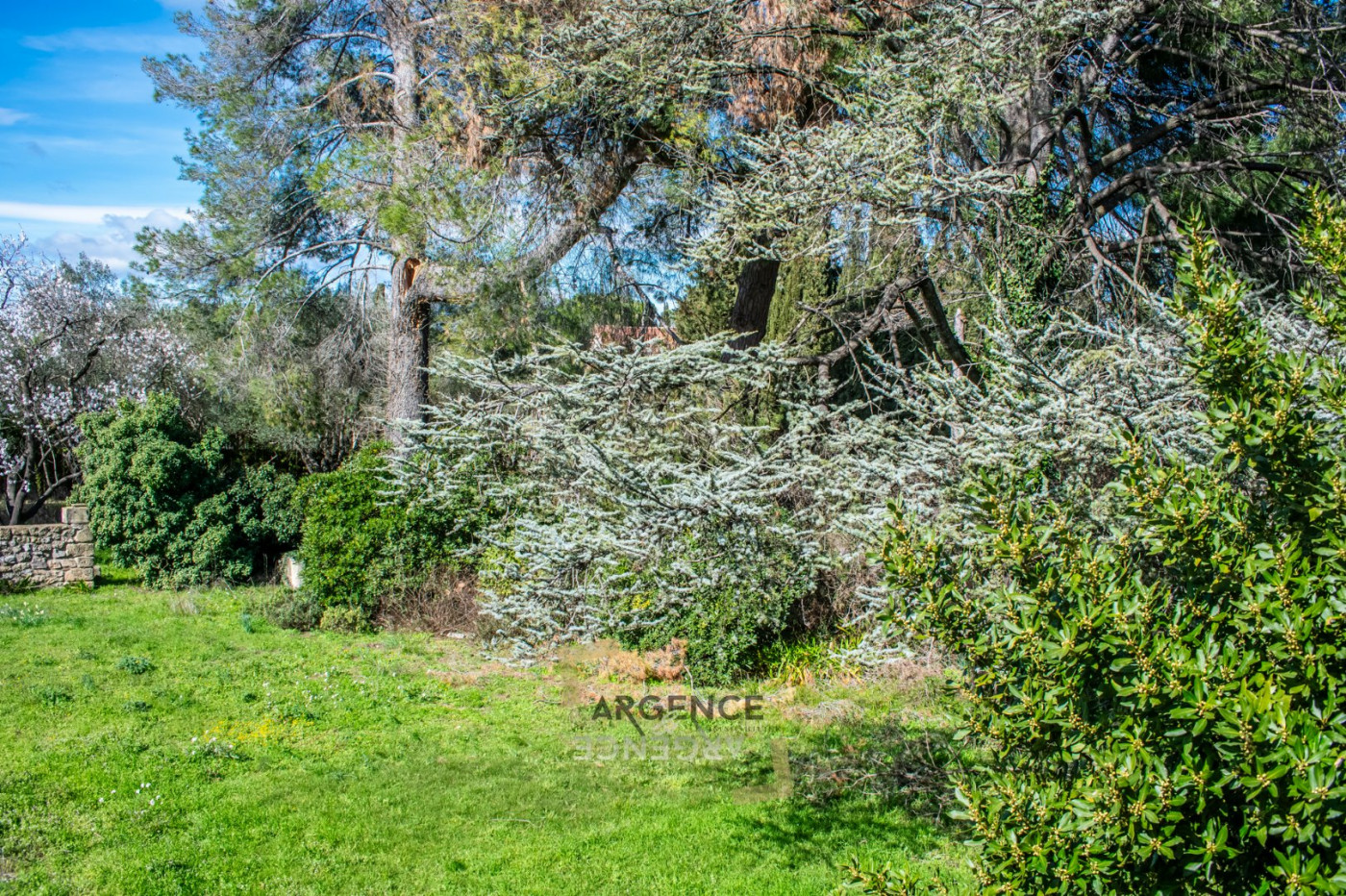 vente Demeure de ville et village Baillargues - Photo 11