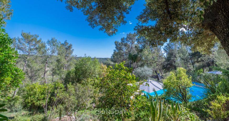 vente Maison Montferrier Sur Lez