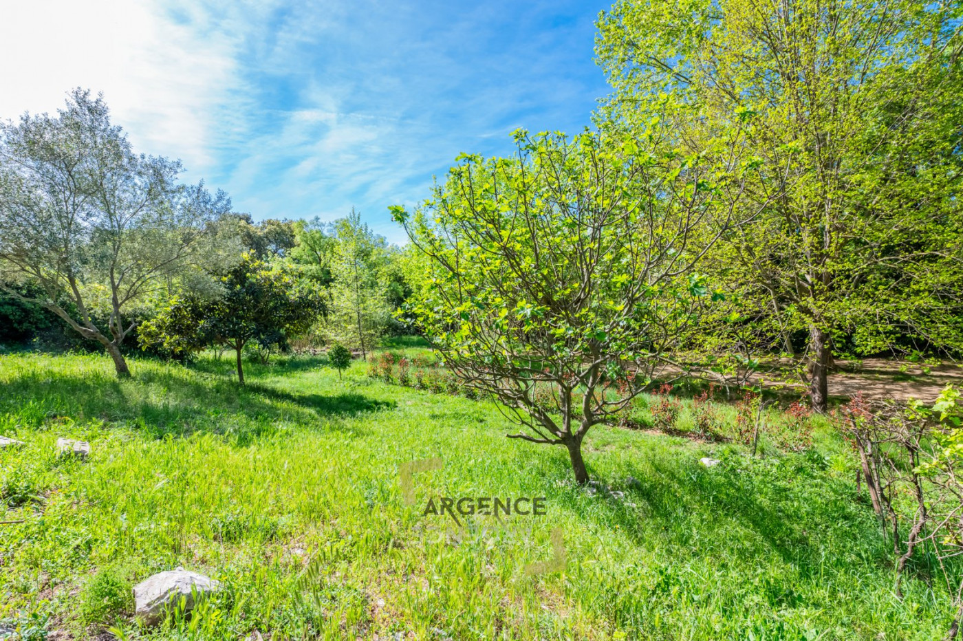 sale Maison Le Cres - Photo 11