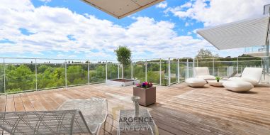 vente Castelnau Le Lez
