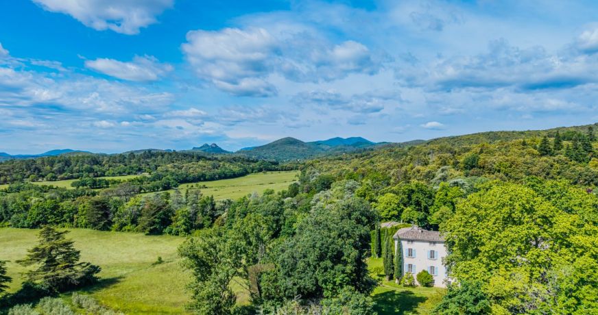 vente Château Montpellier