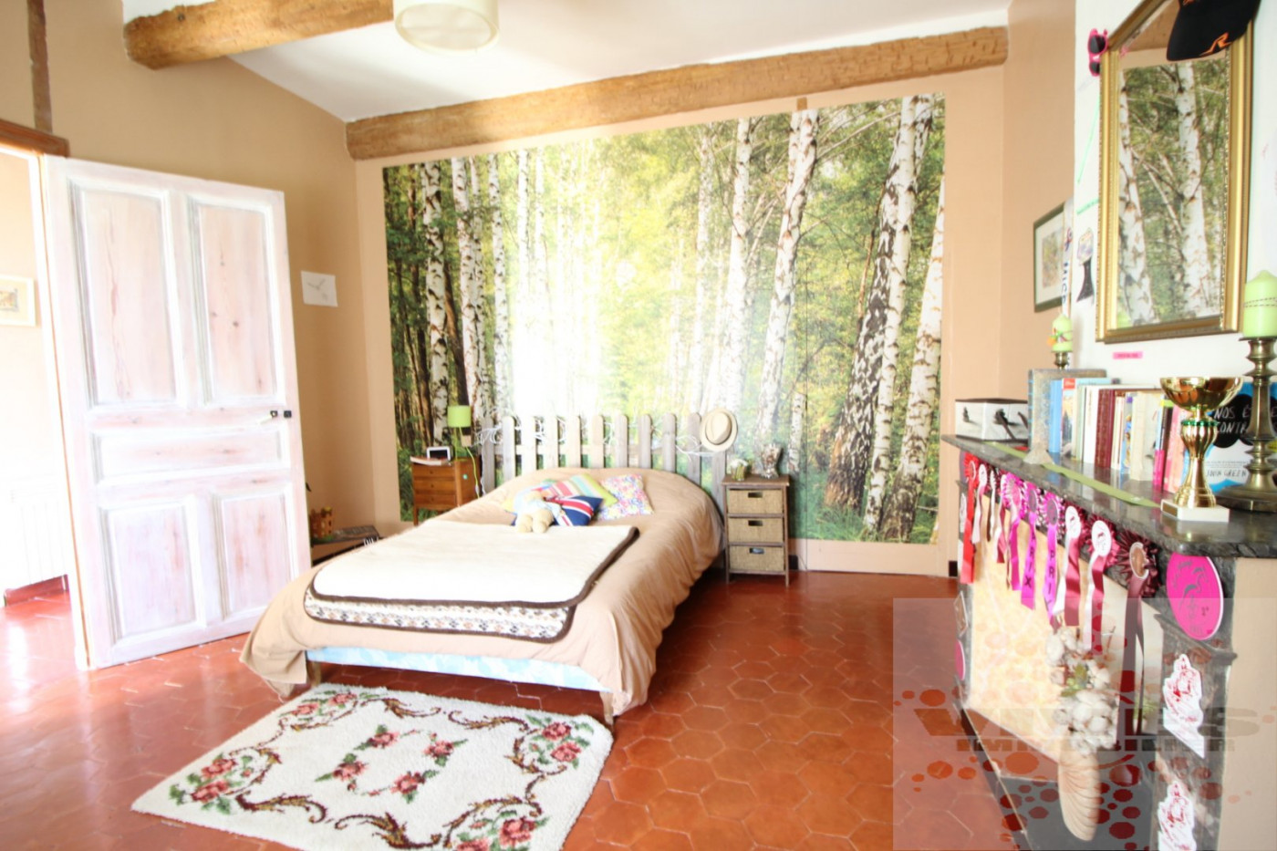 vente Maison Capestang - Photo 15