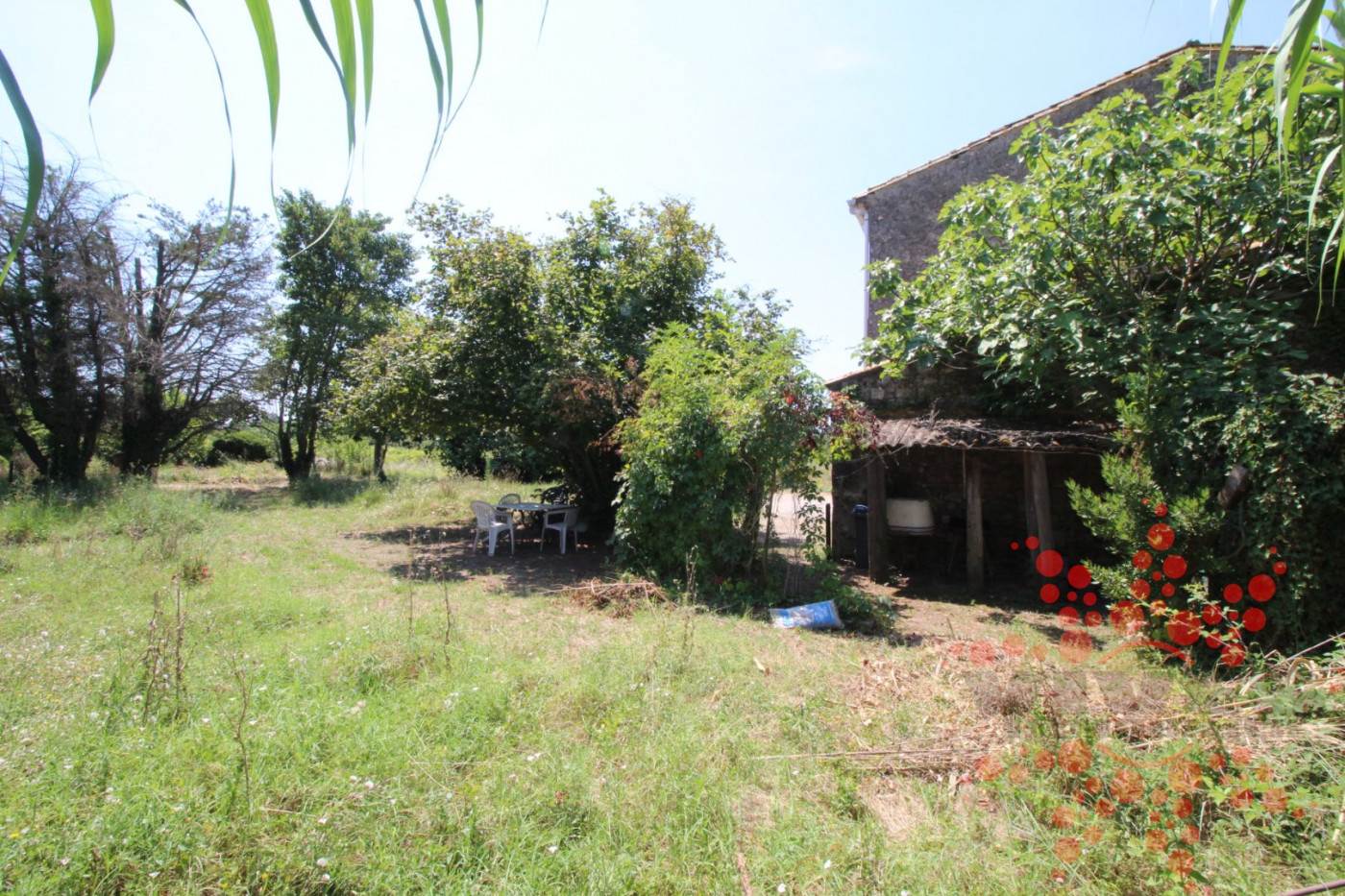 vente Maison de campagne Colombiers