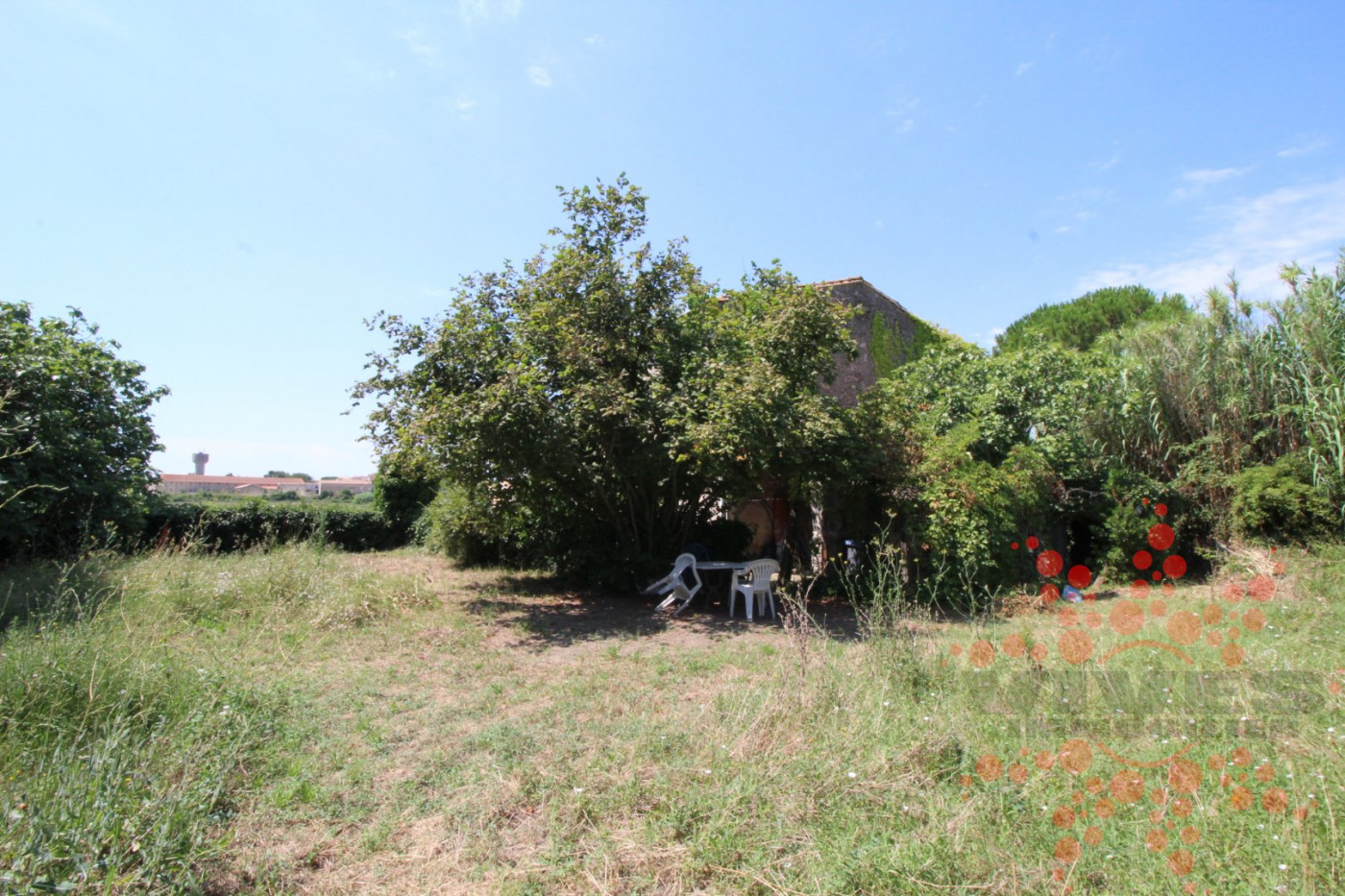 vente Maison de campagne Colombiers - Photo 11