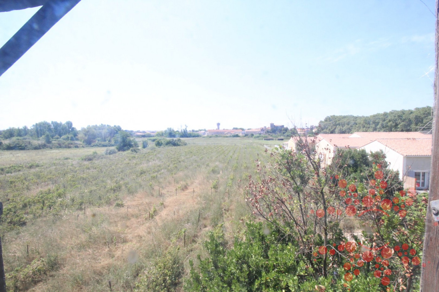 vente Maison de campagne Colombiers - Photo 3