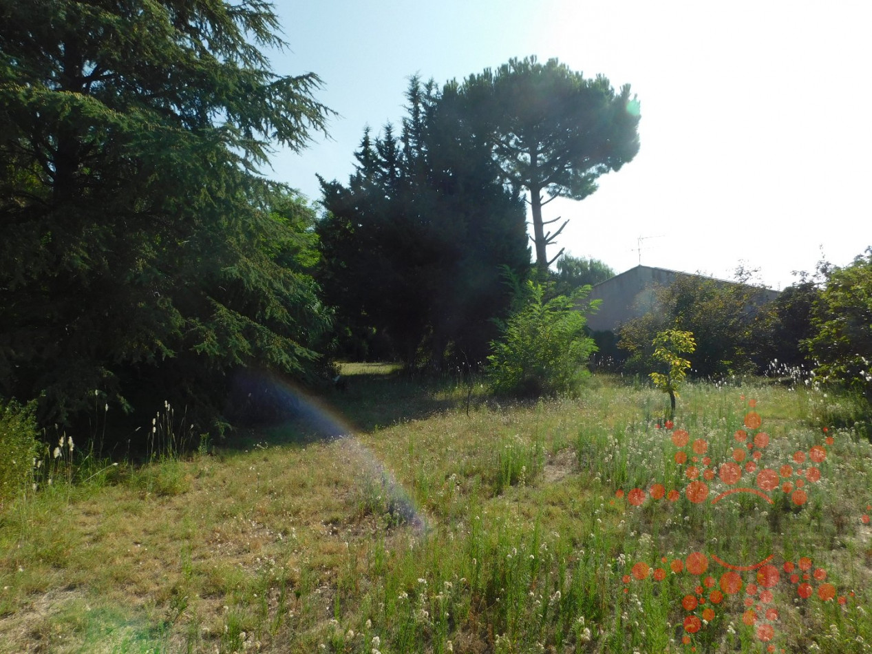 vente Terrain constructible Capestang - Photo 1