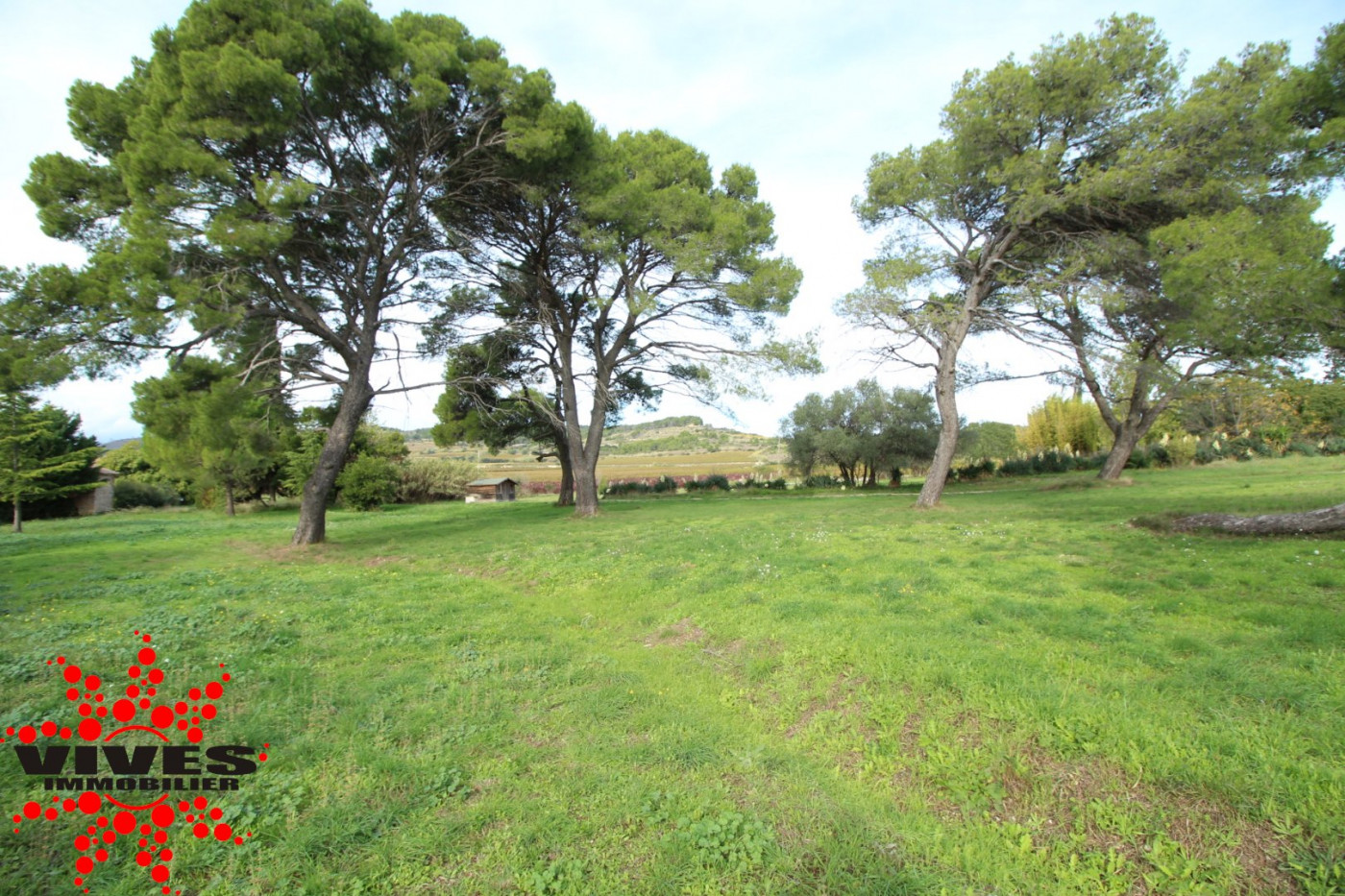 vente Maison de campagne Cruzy - Photo 13