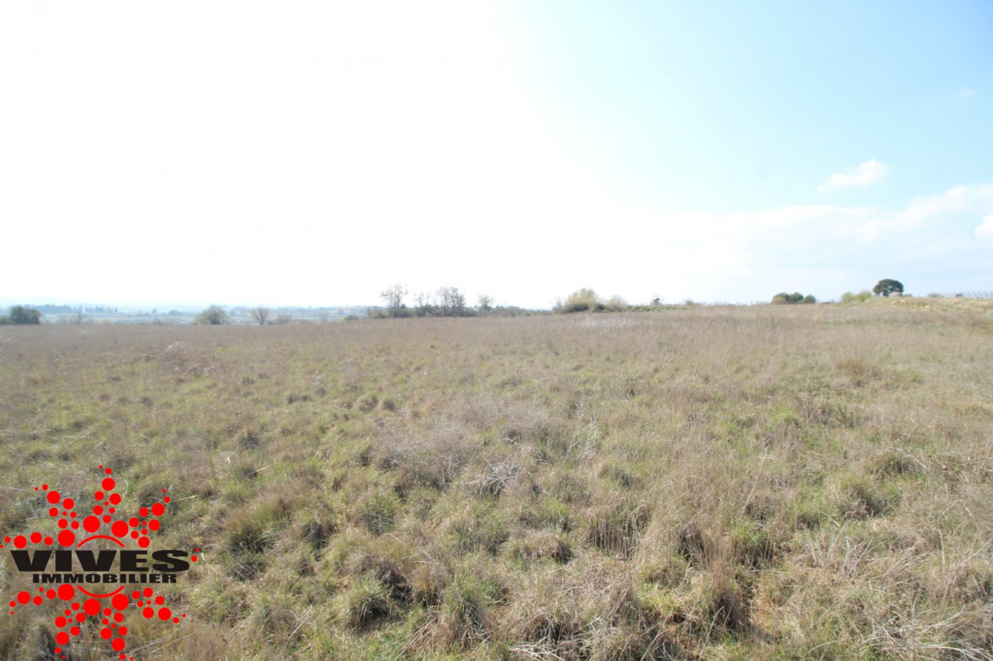 sale Terrain agricole Capestang - Photo 5