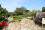 vente Terrain constructible Puisserguier