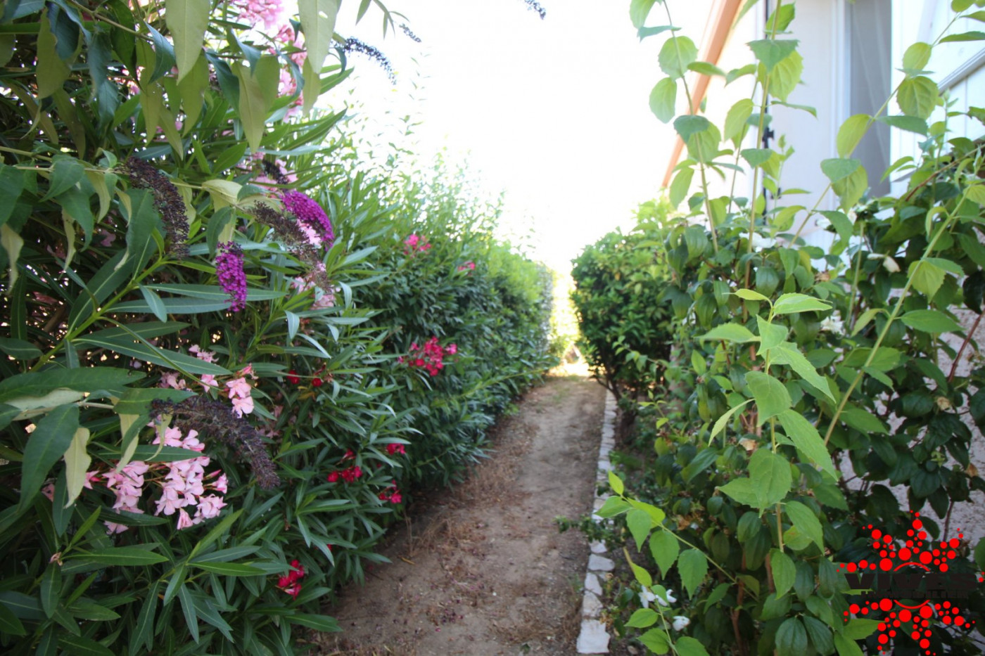 vente Villa Puisserguier - Photo 17