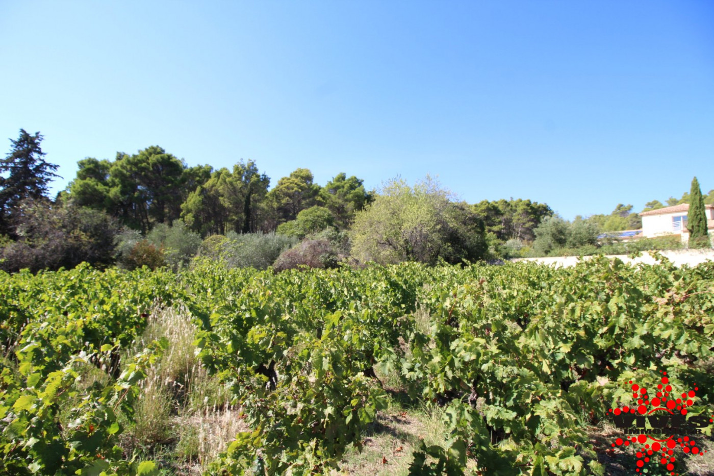 vente Terrain constructible Montouliers - Photo 6