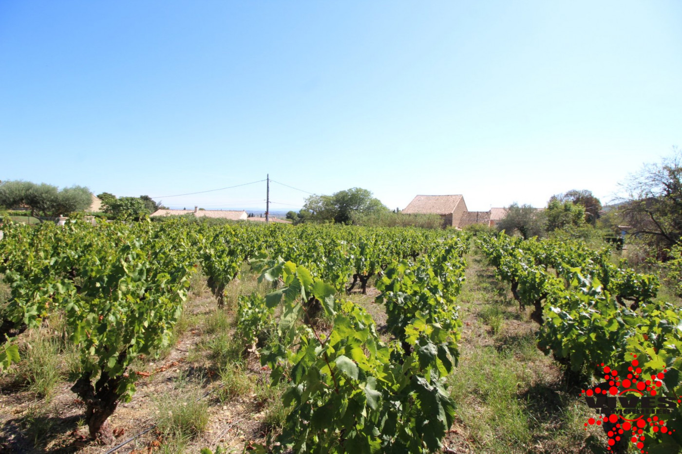 vente Terrain constructible Montouliers - Photo 4