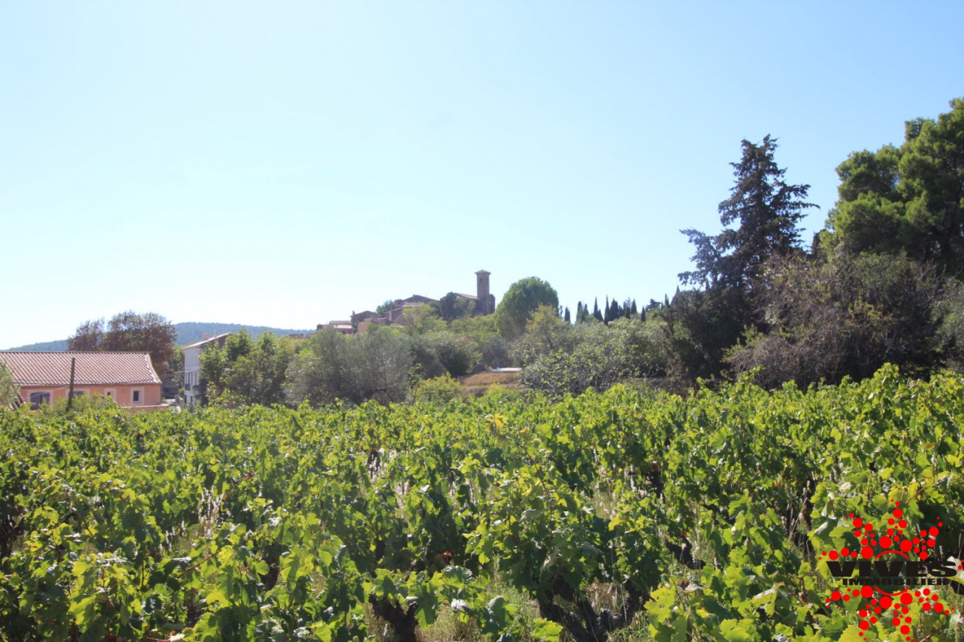 vente Terrain constructible Montouliers - Photo 1